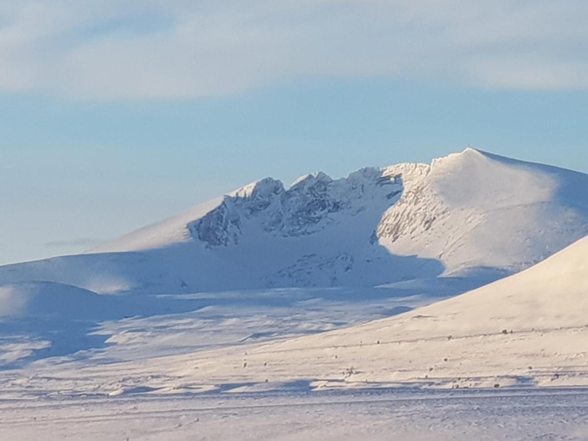 Snohetta Camping Hjerkinn Екстериор снимка